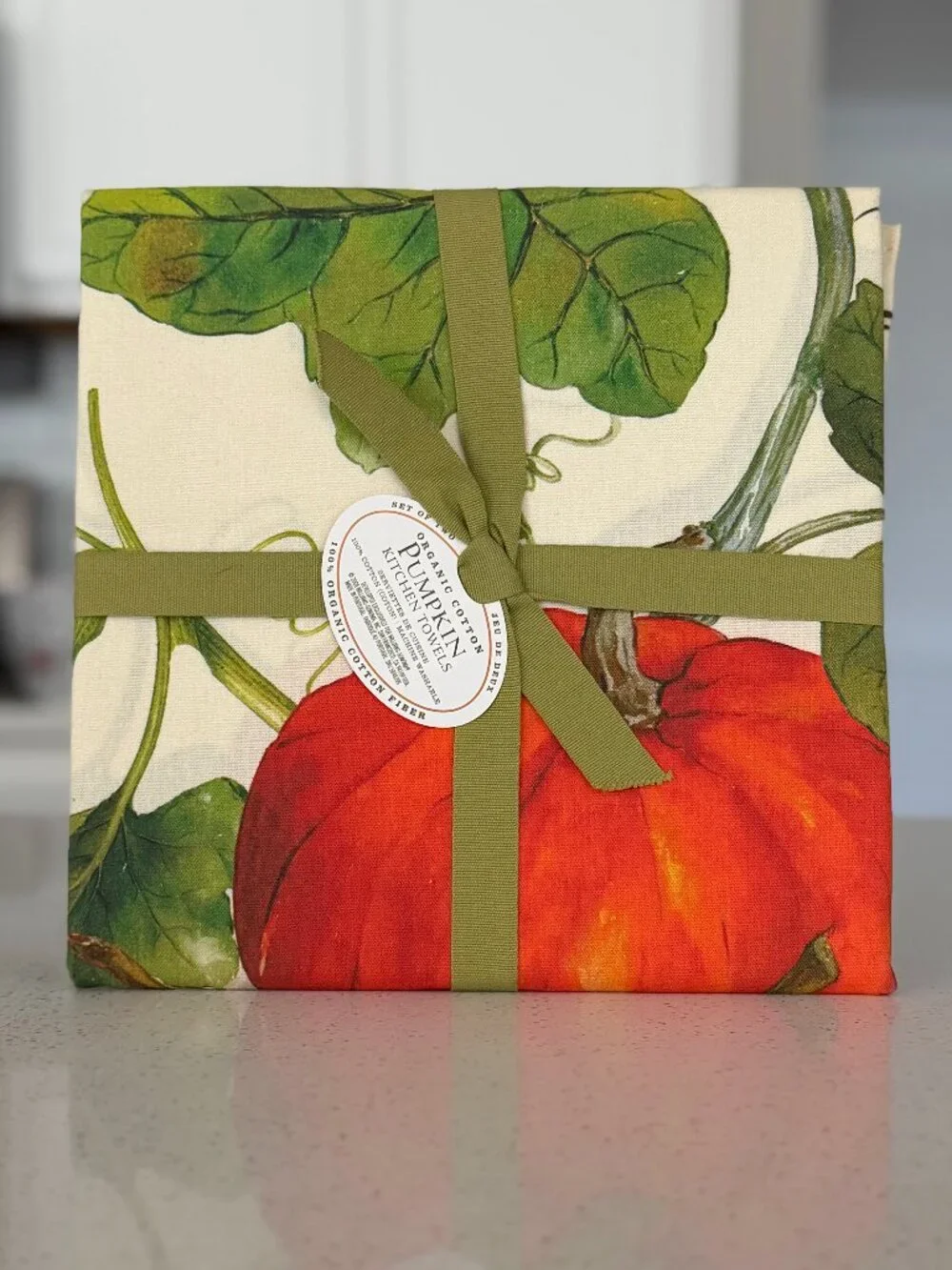 Williams-Sonoma Pumpkin Kitchen Towels Set of 2